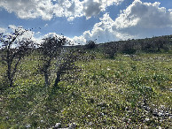 #4: View to the South