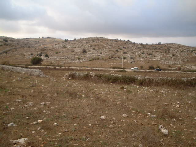 View to the West
