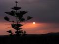 #10: The sunset seen from a church tower in Noto