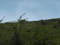#5: Blick nach Süden - View South