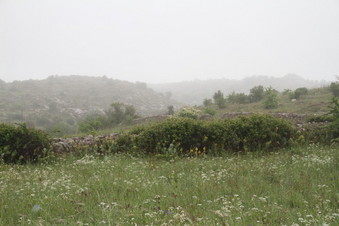 #1: View to the North