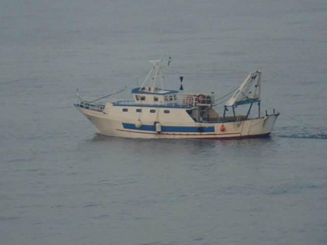 the tuna trawler "B. Padre Pio LTP 389"
