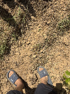 #6: Flipflops on the ground