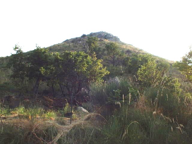 Up on a hill, guarded by dogs...