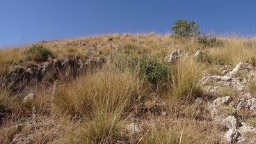 #1: Location of CP 38N 14E from 90 m looking towards the top