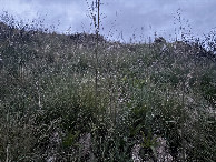 #2: View to the North