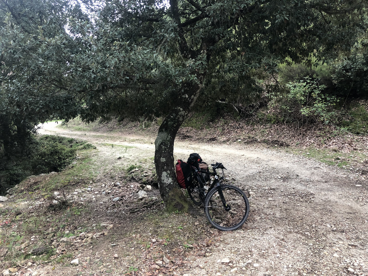 Bicycle Parking in 700 m Distance