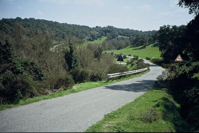 small asphalt road to the confluence point