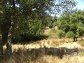 #8: Blick nach Westen / View west