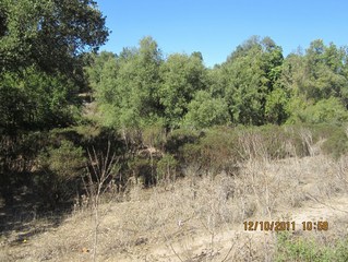 #1: View West