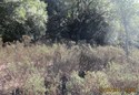 #3: View East