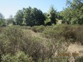 #4: View South