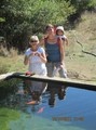 #7: The large water trough complete with Goldfish!!