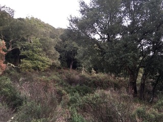 #1: The Confluence from 20 m distance