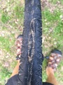 #11: Tyre with a hole