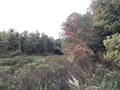 #2: View to the North