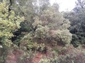 #3: View to the East
