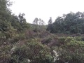 #4: View to the South