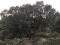 #5: View to the West