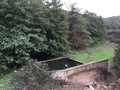 #9: The piscine