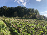 #2: View to the South