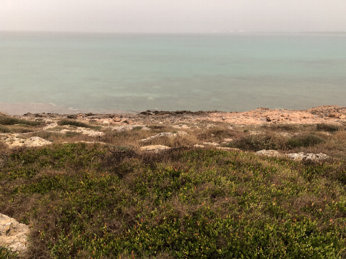 The Confluence from 300 m Distance