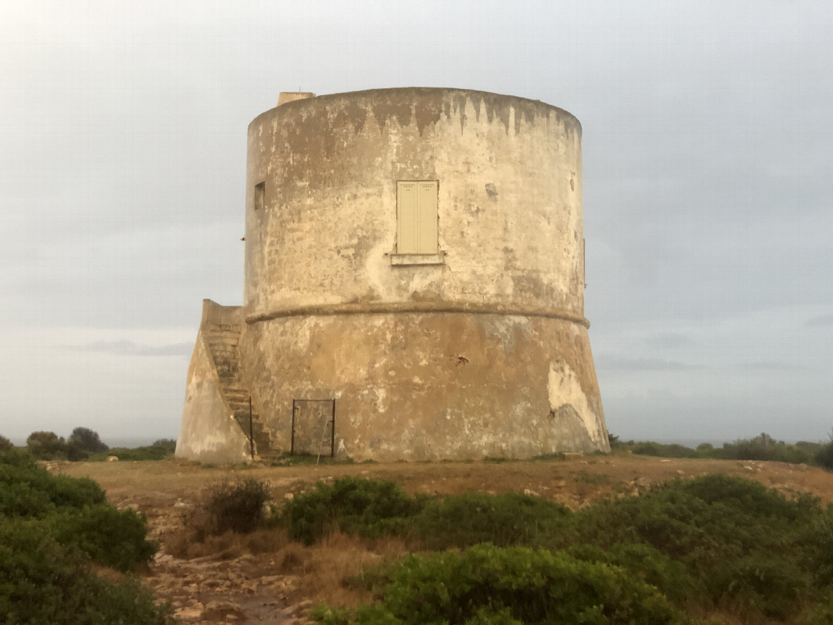 The Nearby Tower