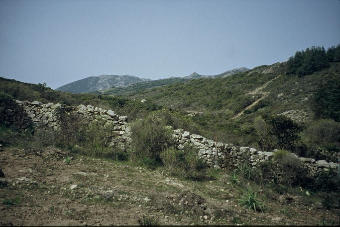 stone wall 10m from the confluence