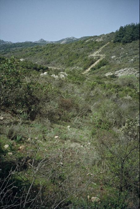 View from the confluence