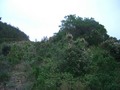 #2: View North