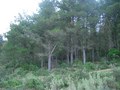 #4: View East