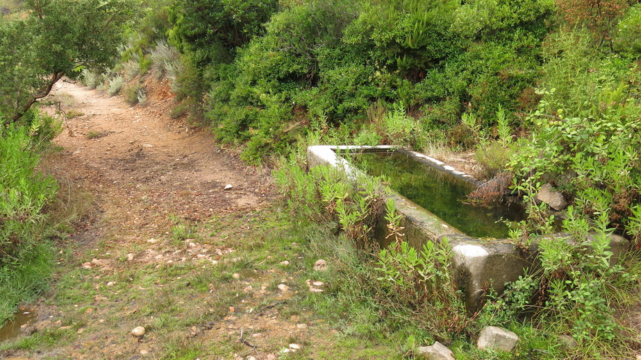 Watering place