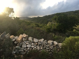#1: The Confluence from 15 m distance