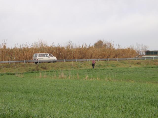North