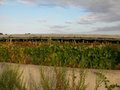 #2: View to East. Vista Este.