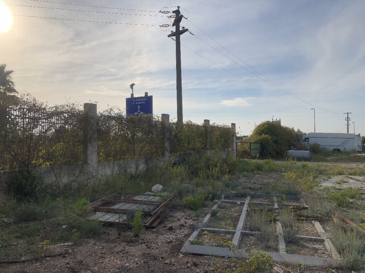 Viewto the West