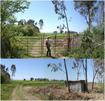 #4: Locked gate & view from eastern corner of rape field