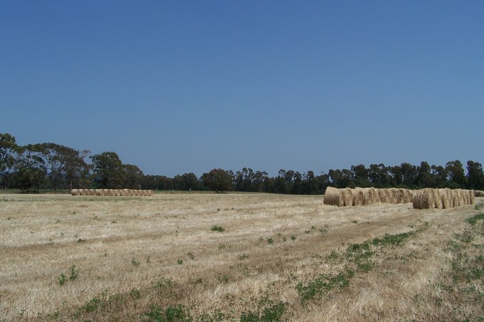 View towards E from the confluence