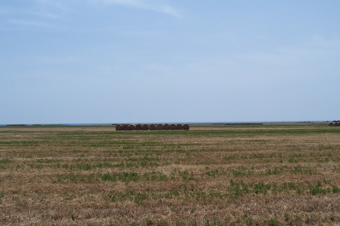 View towards S from the confluence (Tyrrhenian Sea in the background)