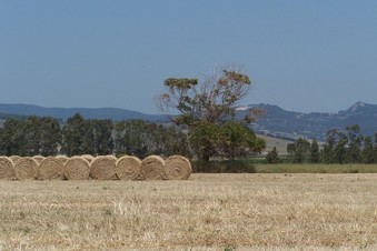 #1: General view of the confluence (towards N)