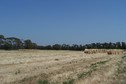 #2: View towards E from the confluence