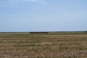 #3: View towards S from the confluence (Tyrrhenian Sea in the background)