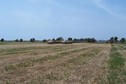 #4: View towards W from the confluence