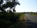 #3: View west along the driveway.