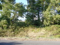 #4: View north towards the highway.