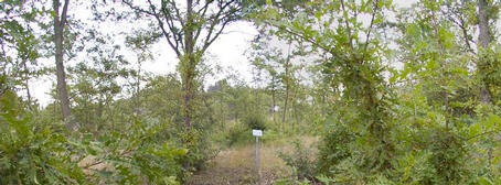 #1: Panoramic shot of the confluence point