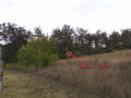 #6: At about 100 meters from the spot