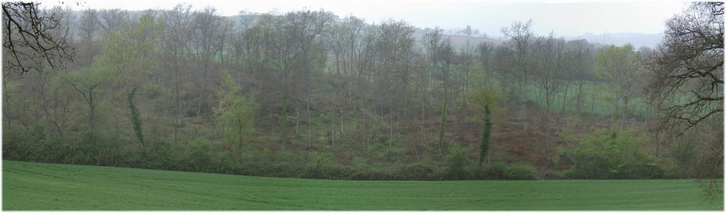 View to CP from the EAST – distance ~ 300 m