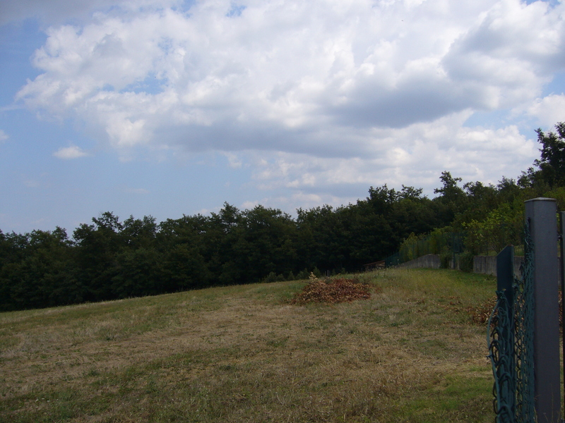 View east towards the Point in the woods. Note the fence!