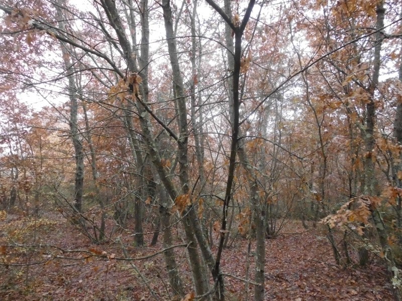 North